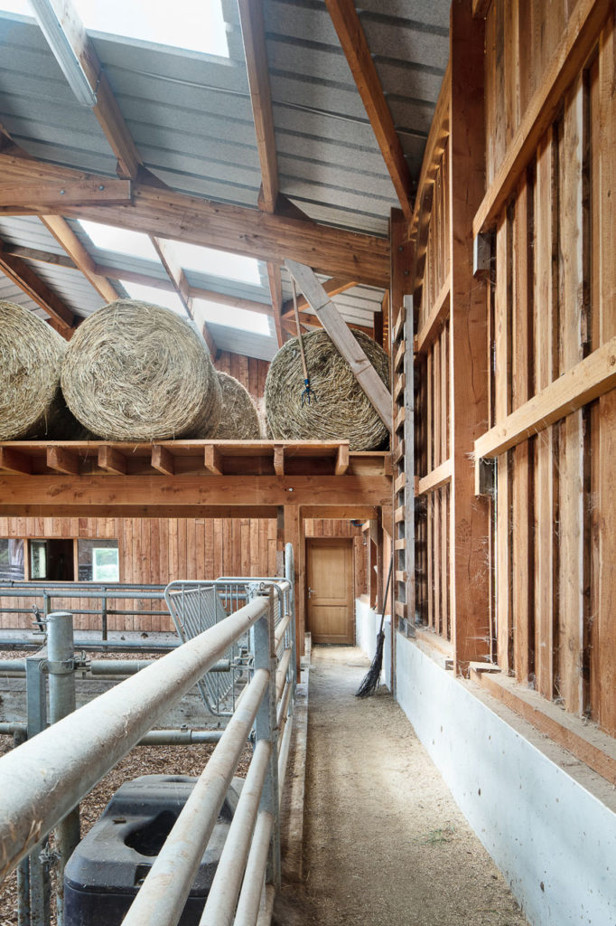 Un hangar agricole « made in Limousin » - Saint-Julien-le-Petit